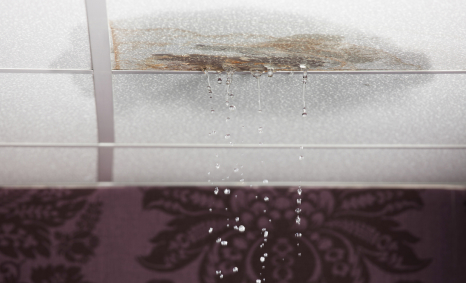 Plumber Chelsea Heights